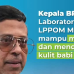Melihat dan Mendeteksi Kulit Babi